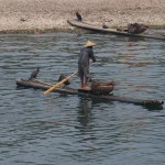 Fishing with cormorants
